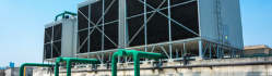 Cortec Closed Loop Toad from EccorSystems